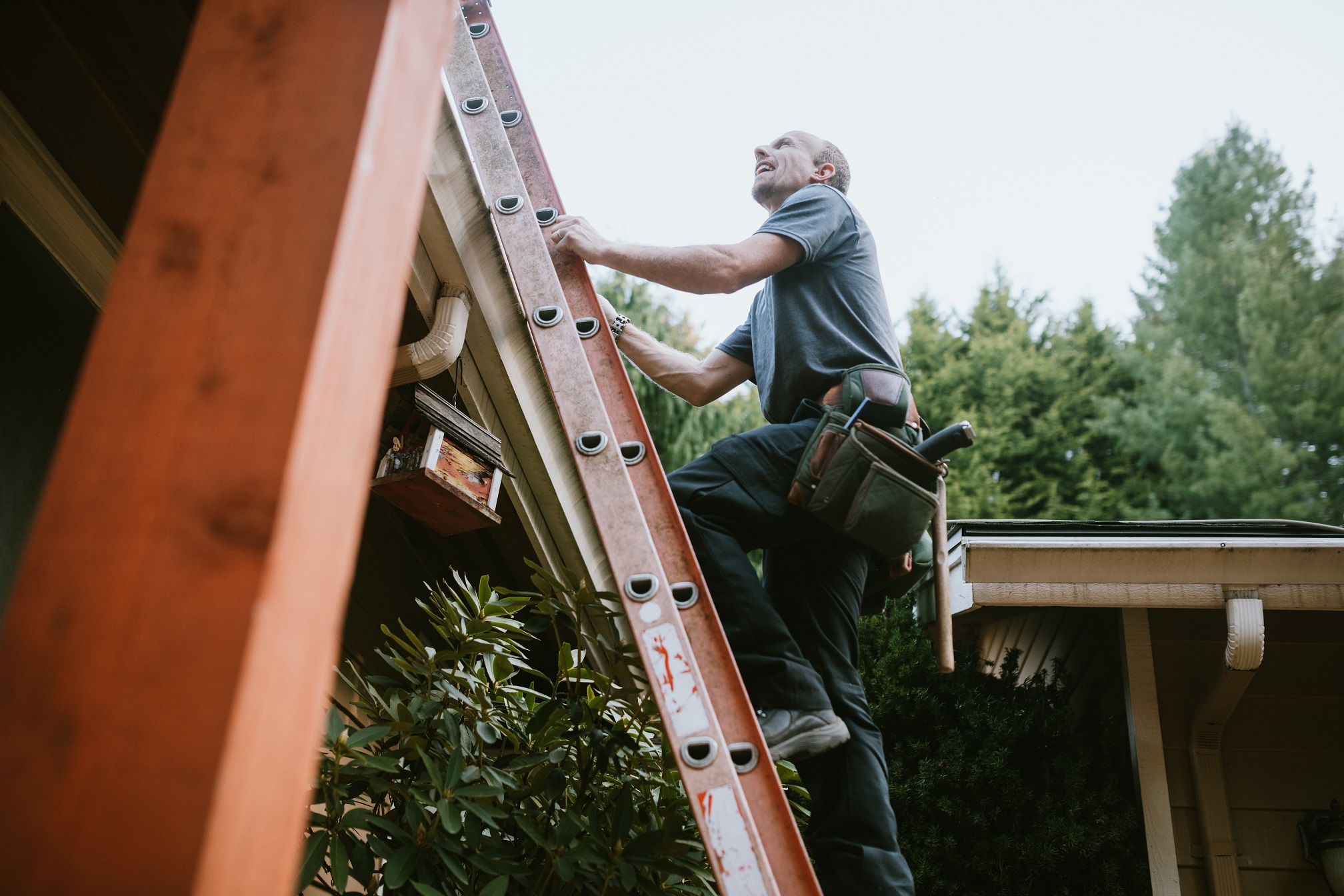 roofing